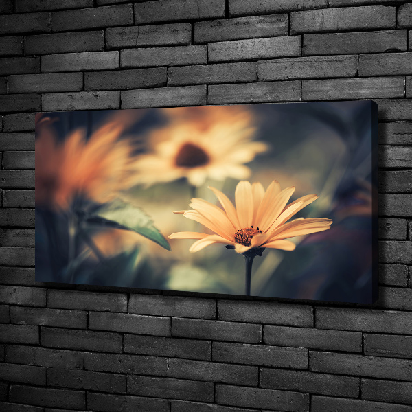 Cuadro canvas moderno de gran formato horizontal flor de primavera