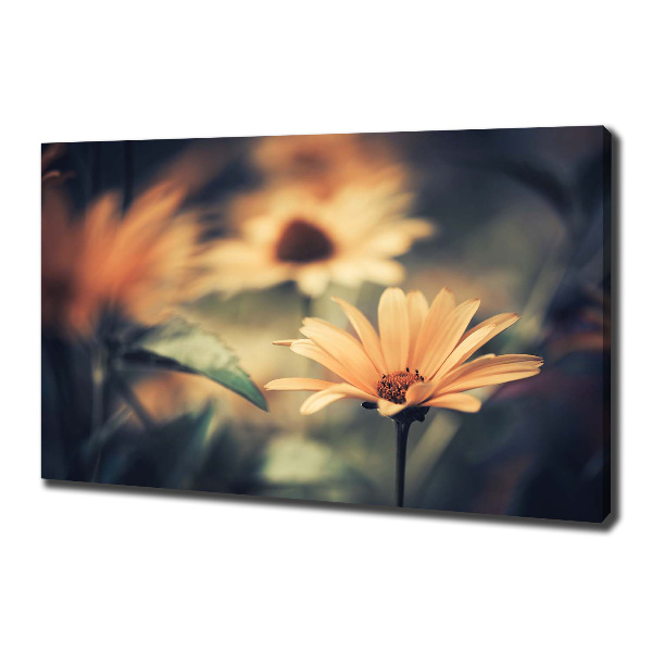 Cuadro canvas moderno de gran formato horizontal flor de primavera