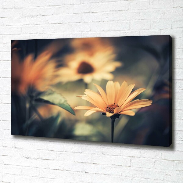 Cuadro canvas moderno de gran formato horizontal flor de primavera