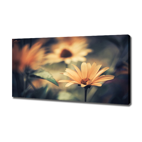 Cuadro canvas moderno de gran formato horizontal flor de primavera