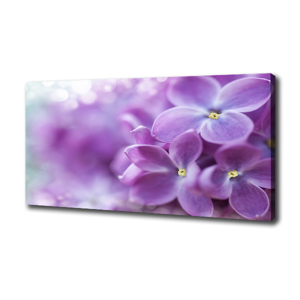 Fotocuadro en lienzo de alta calidad horizontal flores lilas