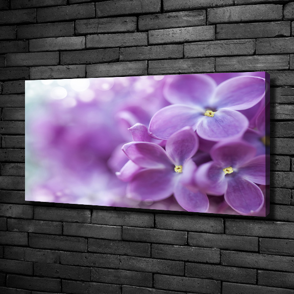 Fotocuadro en lienzo de alta calidad horizontal flores lilas