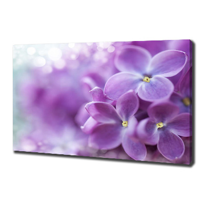 Fotocuadro en lienzo de alta calidad horizontal flores lilas