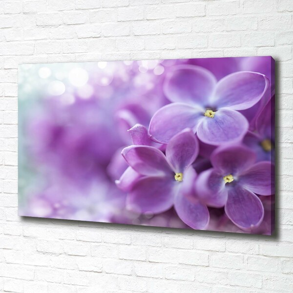 Fotocuadro en lienzo de alta calidad horizontal flores lilas