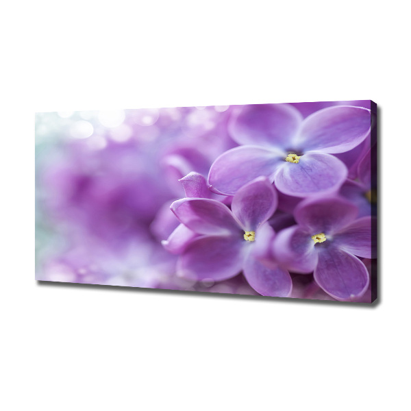 Fotocuadro en lienzo de alta calidad horizontal flores lilas