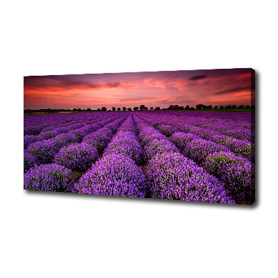 Cuadro canvas con impresión uv duradera horizontal campo de lavanda