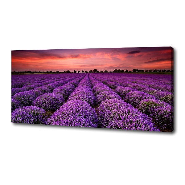 Cuadro canvas con impresión uv duradera horizontal campo de lavanda