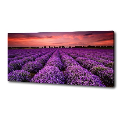 Cuadro canvas con impresión uv duradera horizontal campo de lavanda