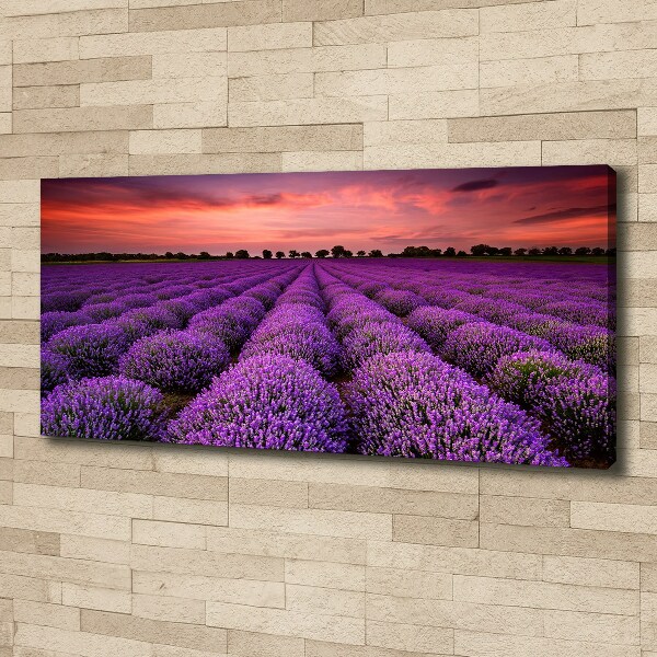 Cuadro canvas con impresión uv duradera horizontal campo de lavanda