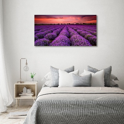 Cuadro canvas con impresión uv duradera horizontal campo de lavanda