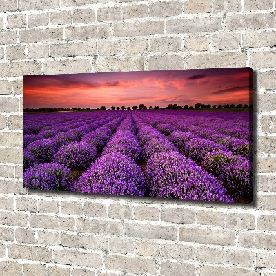 Cuadro canvas con impresión uv duradera horizontal campo de lavanda