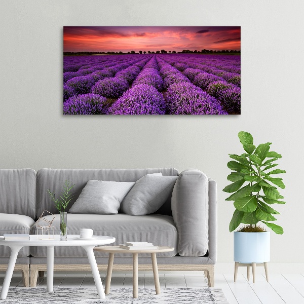 Cuadro canvas con impresión uv duradera horizontal campo de lavanda