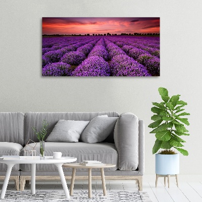 Cuadro canvas con impresión uv duradera horizontal campo de lavanda