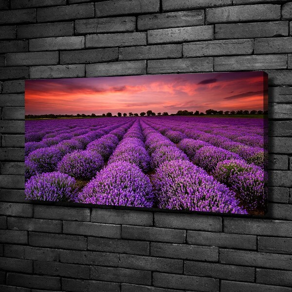 Cuadro canvas con impresión uv duradera horizontal campo de lavanda