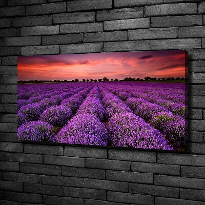 Cuadro canvas con impresión uv duradera horizontal campo de lavanda