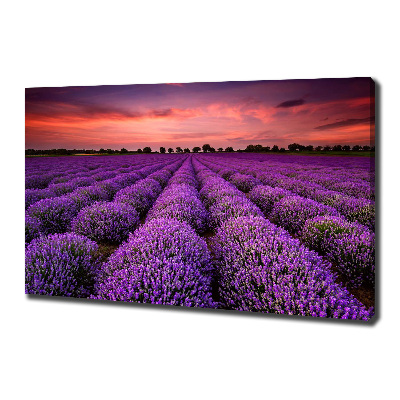 Cuadro canvas con impresión uv duradera horizontal campo de lavanda
