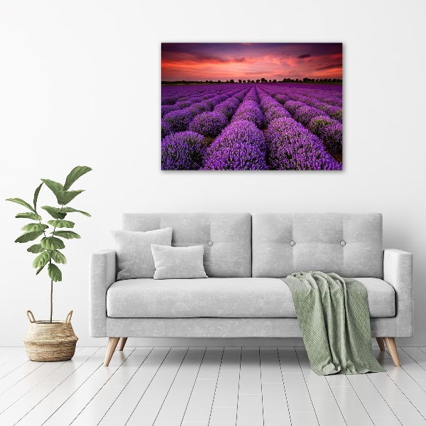 Cuadro canvas con impresión uv duradera horizontal campo de lavanda