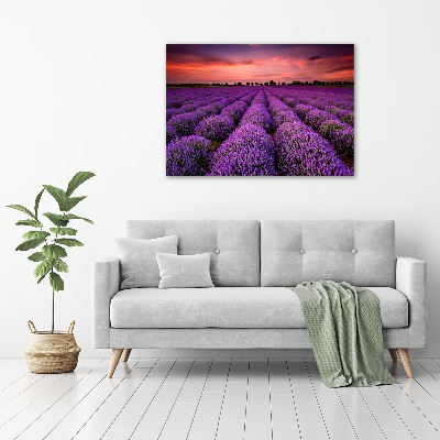 Cuadro canvas con impresión uv duradera horizontal campo de lavanda
