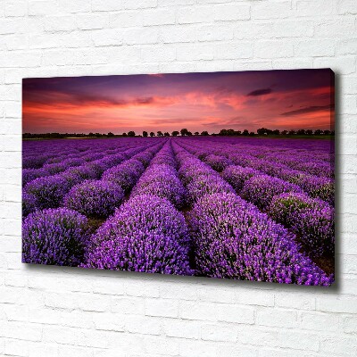 Cuadro canvas con impresión uv duradera horizontal campo de lavanda