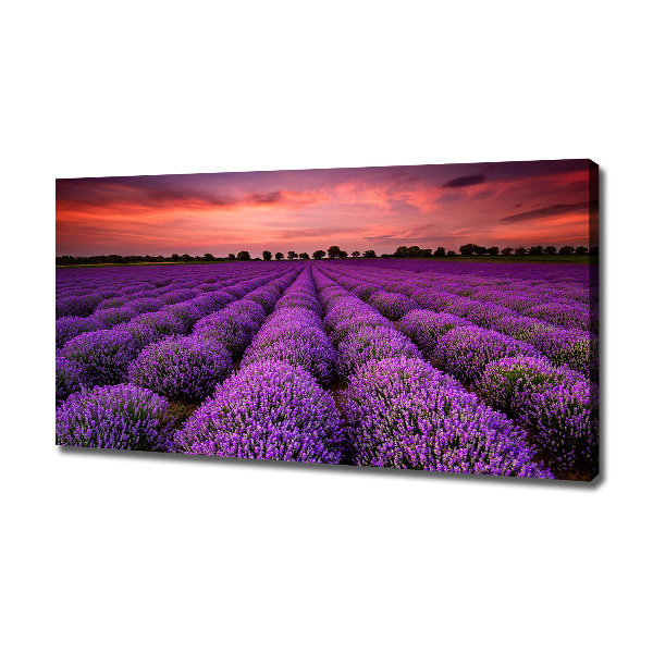 Cuadro canvas con impresión uv duradera horizontal campo de lavanda