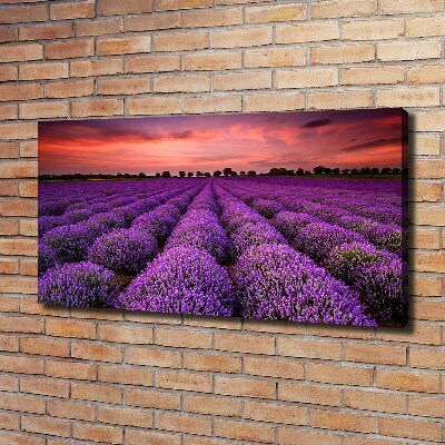 Cuadro canvas con impresión uv duradera horizontal campo de lavanda