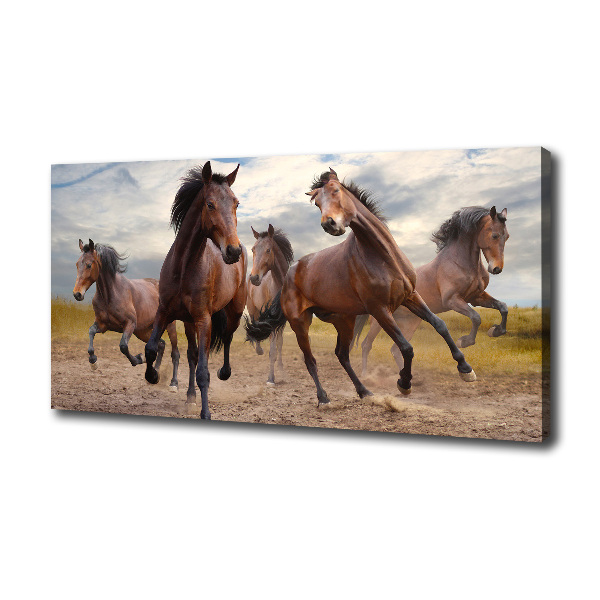 Fotocuadro en lienzo de alta calidad horizontal Cinco caballos