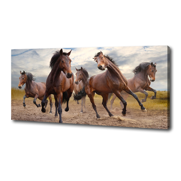 Fotocuadro en lienzo de alta calidad horizontal Cinco caballos