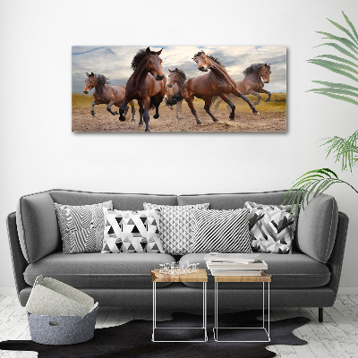 Fotocuadro en lienzo de alta calidad horizontal Cinco caballos
