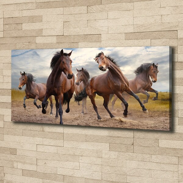 Fotocuadro en lienzo de alta calidad horizontal Cinco caballos