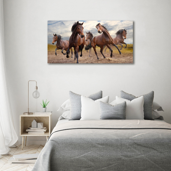 Fotocuadro en lienzo de alta calidad horizontal Cinco caballos