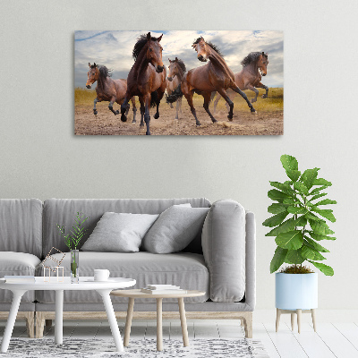 Fotocuadro en lienzo de alta calidad horizontal Cinco caballos