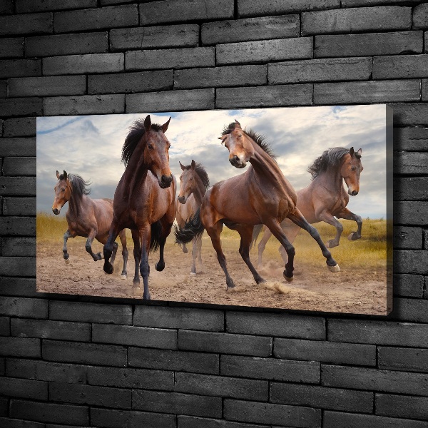 Fotocuadro en lienzo de alta calidad horizontal Cinco caballos