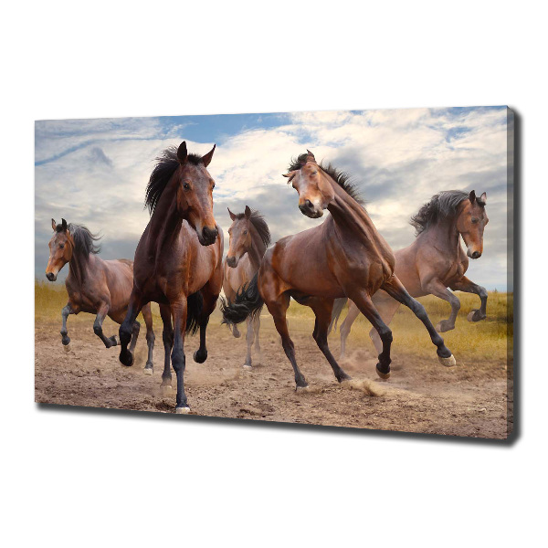 Fotocuadro en lienzo de alta calidad horizontal Cinco caballos