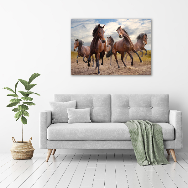 Fotocuadro en lienzo de alta calidad horizontal Cinco caballos