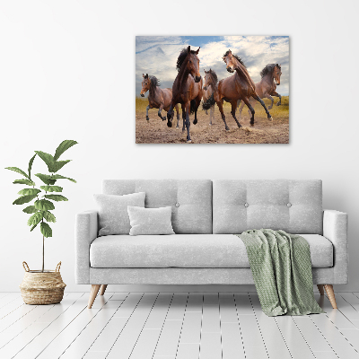Fotocuadro en lienzo de alta calidad horizontal Cinco caballos