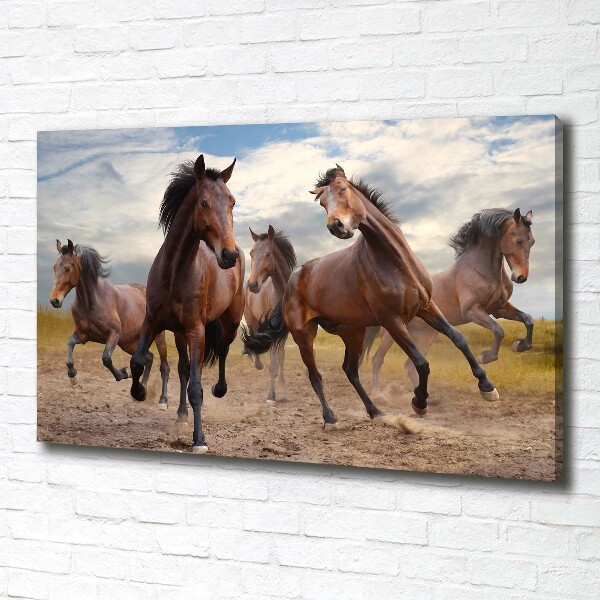 Fotocuadro en lienzo de alta calidad horizontal Cinco caballos