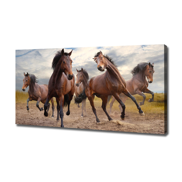 Fotocuadro en lienzo de alta calidad horizontal Cinco caballos