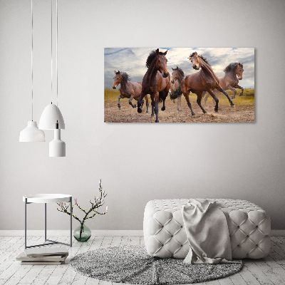 Fotocuadro en lienzo de alta calidad horizontal Cinco caballos