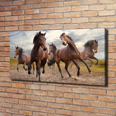 Fotocuadro en lienzo de alta calidad horizontal Cinco caballos