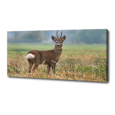 Cuadro canvas con impresión uv duradera horizontal Hueva
