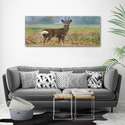 Cuadro canvas con impresión uv duradera horizontal Hueva