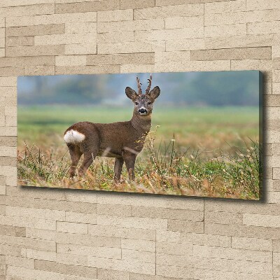 Cuadro canvas con impresión uv duradera horizontal Hueva