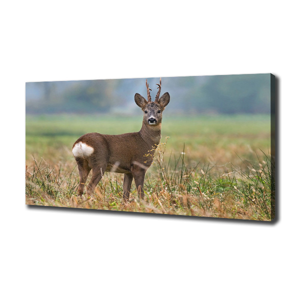 Cuadro canvas con impresión uv duradera horizontal Hueva