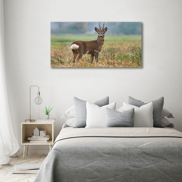 Cuadro canvas con impresión uv duradera horizontal Hueva