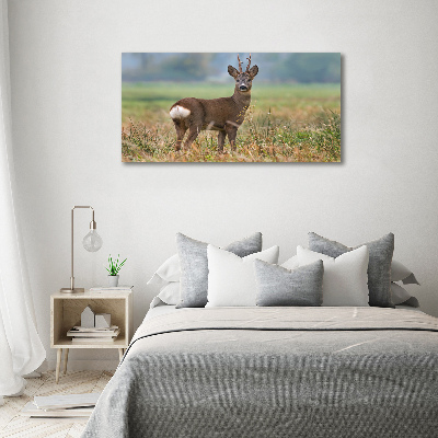 Cuadro canvas con impresión uv duradera horizontal Hueva