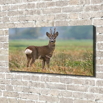Cuadro canvas con impresión uv duradera horizontal Hueva
