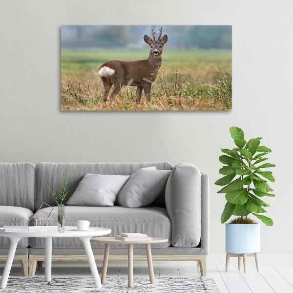 Cuadro canvas con impresión uv duradera horizontal Hueva