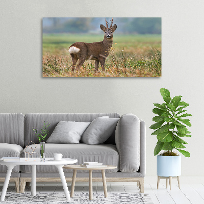 Cuadro canvas con impresión uv duradera horizontal Hueva