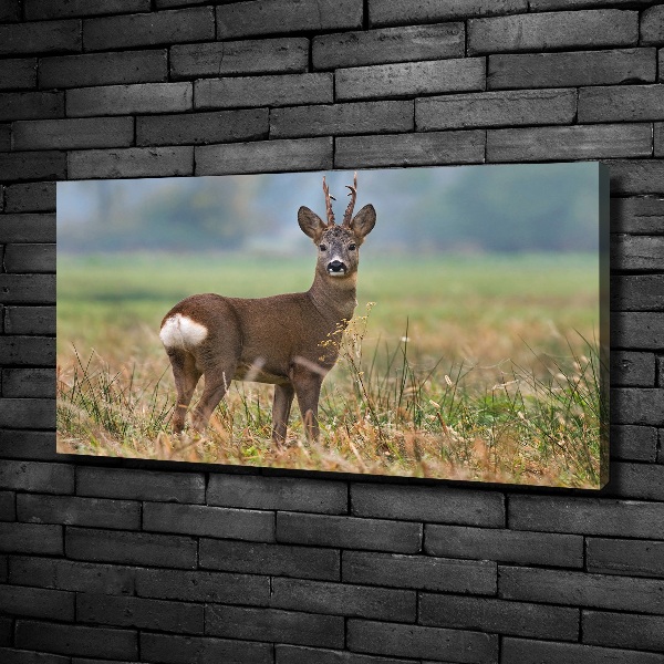 Cuadro canvas con impresión uv duradera horizontal Hueva
