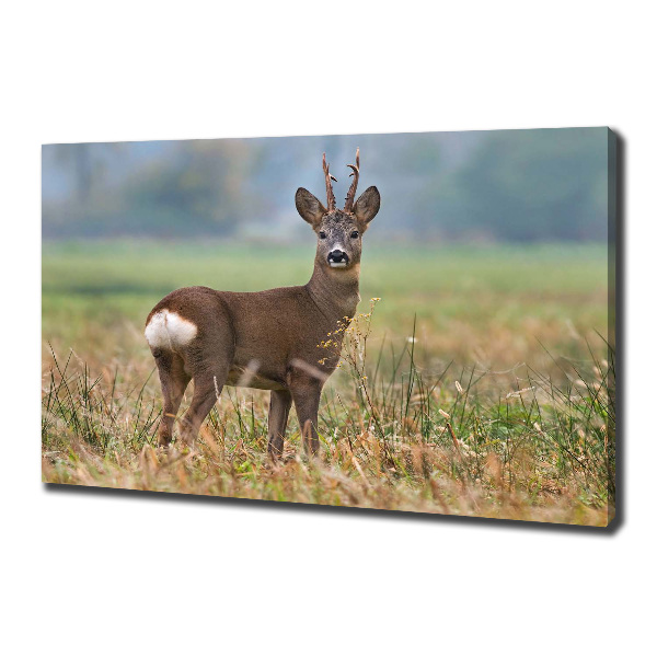 Cuadro canvas con impresión uv duradera horizontal Hueva